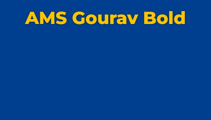 AMS Gourav Bold
